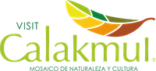 Visit Calakmul